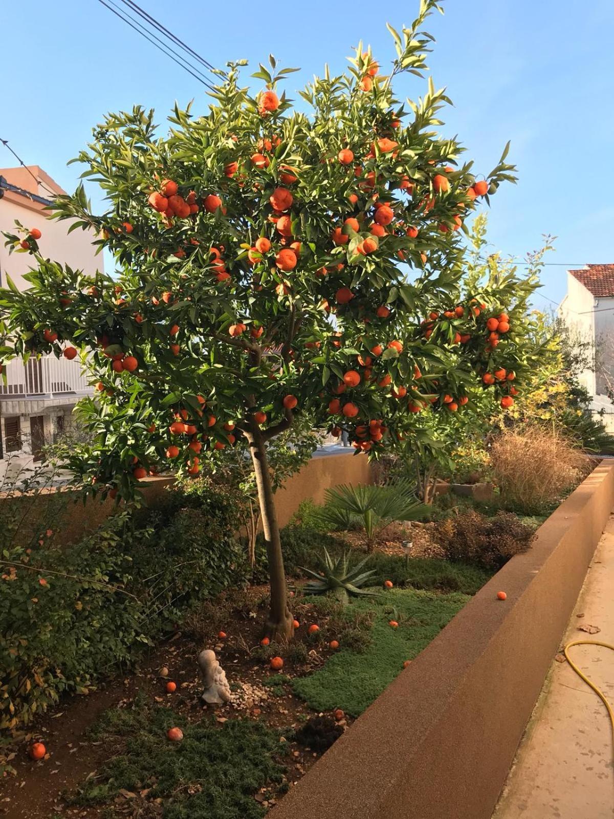 Villa Bozana 特罗吉尔 外观 照片